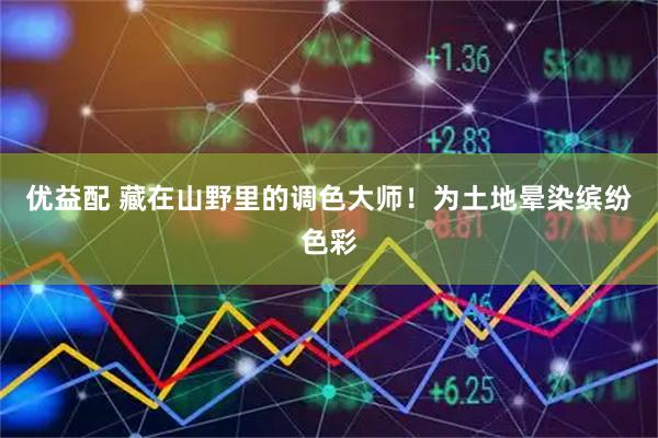 优益配 藏在山野里的调色大师！为土地晕染缤纷色彩