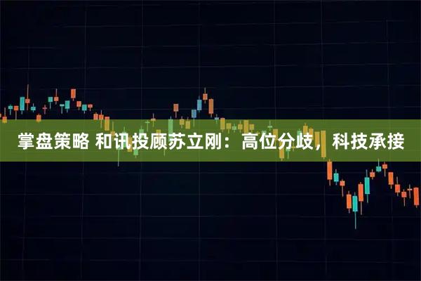掌盘策略 和讯投顾苏立刚：高位分歧，科技承接