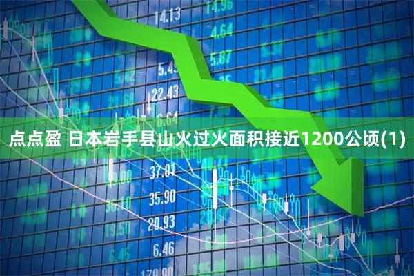 点点盈 日本岩手县山火过火面积接近1200公顷(1)