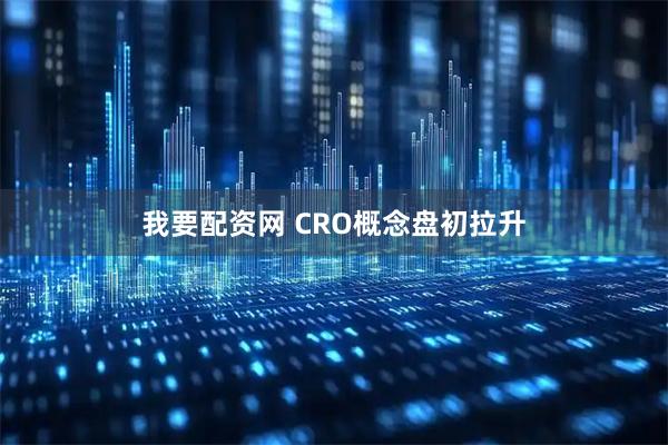 我要配资网 CRO概念盘初拉升