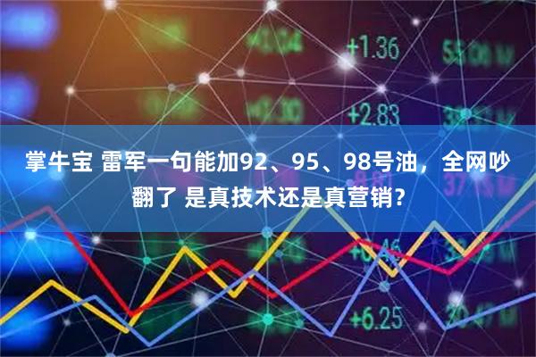 掌牛宝 雷军一句能加92、95、98号油，全网吵翻了 是真技术还是真营销？